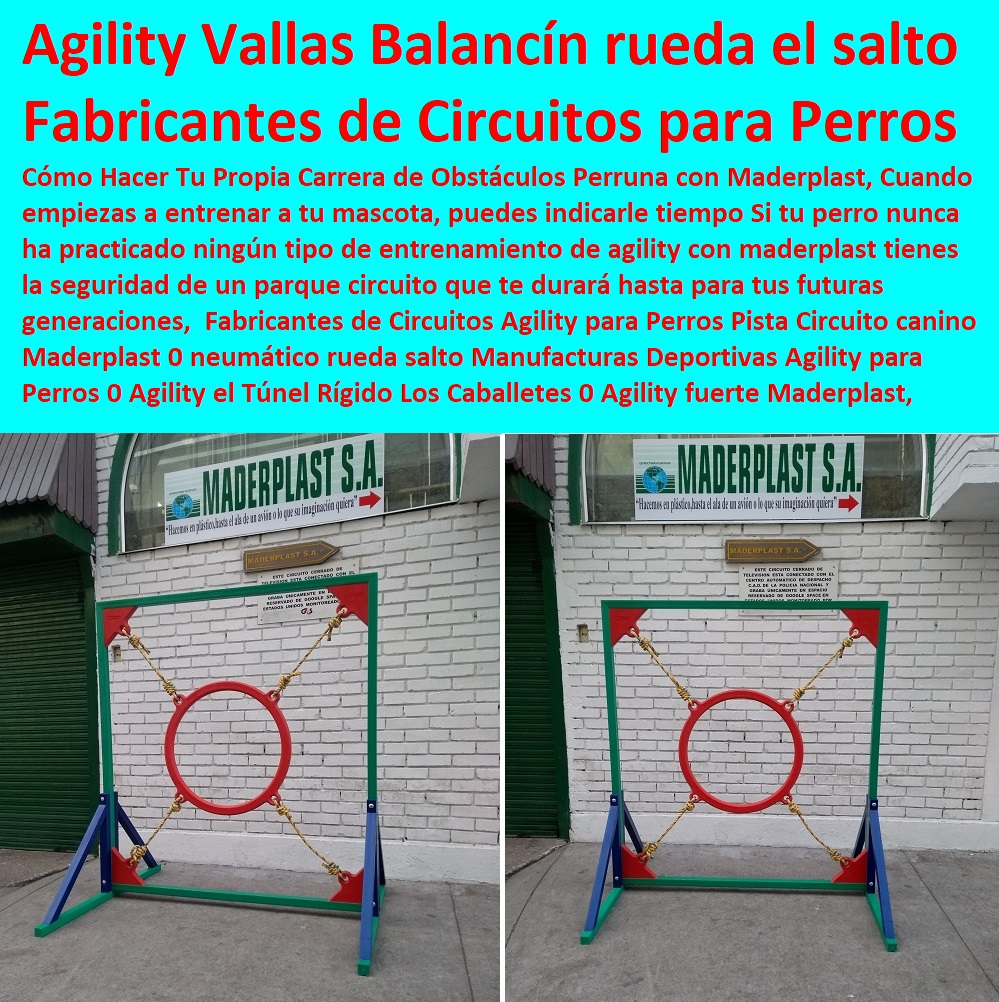 Cunas Y Parideras Para Perros, Parques Para Perros, Corrales Para Perros, Jaulas cuidado de perros, Casas Para Perros Y Mascotas, Agility De Perros, Pistas De Adiestramiento, Caninos Para Perros, Equipo De Agility Para Perros, Fabricantes de Circuitos Agility para Perros Pista Circuito canino Maderplast 0 neumático rueda salto Manufacturas Deportivas Agility para Perros 0 Agility el Túnel Rígido Los Caballetes 0 Agility Vallas el Balancín rueda salto can Fabricantes de Circuitos Agility para Perros Pista Circuito canino Maderplast 0 neumático rueda salto Manufacturas Deportivas Agility para Perros 0 Agility el Túnel Rígido Los Caballetes 0 Agility Vallas el Balancín rueda salto can